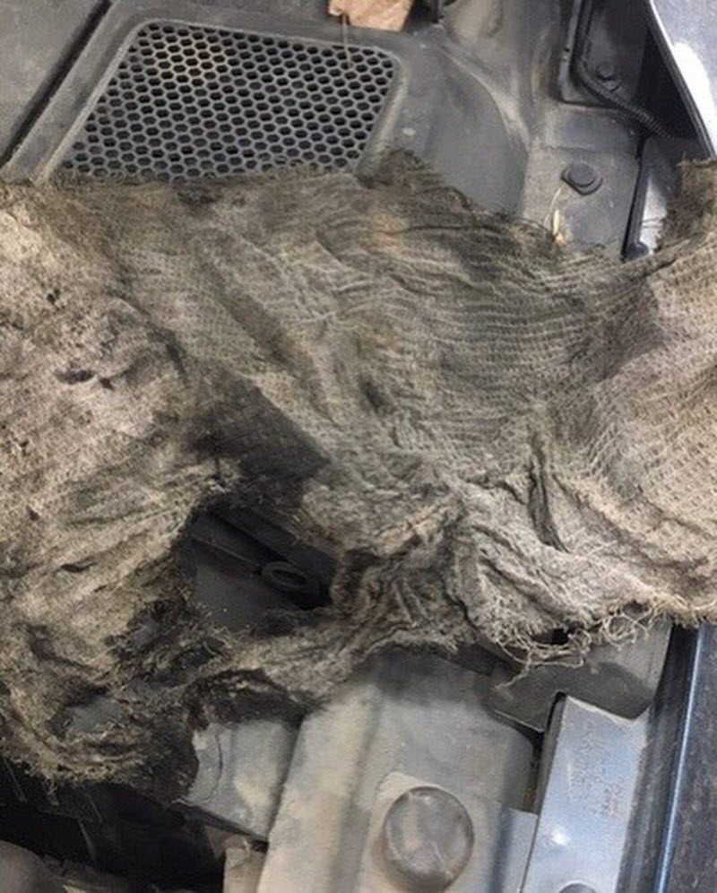 Механики забыли под капотом тряпку и что из этого вышло