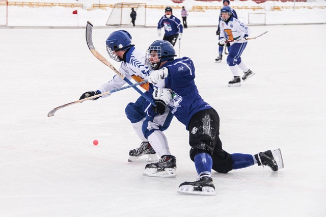 Федерация хоккея с мячом запретила СМИ критиковать игроков и судей