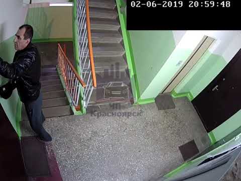 Домушники за работой