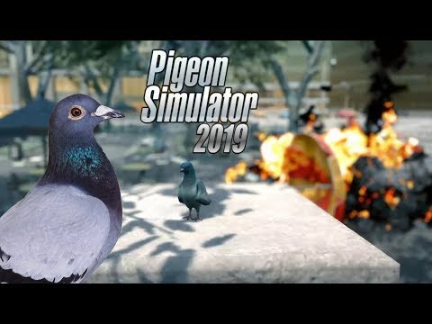  Игры, которые мы заслужили – Pigeon Simulator 2019
