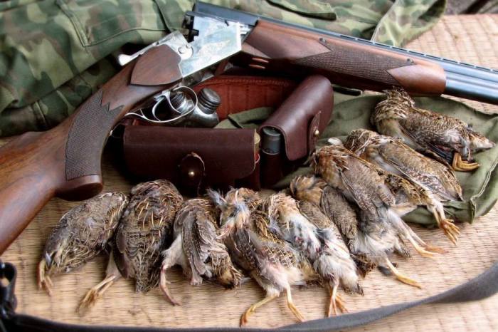 Вещи в багажнике авто, перевозка которых может привести к печальным последствиям