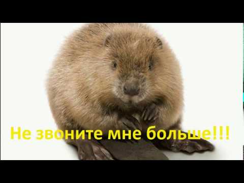 В полицию звонит Надежда Михайлова Мануйлова