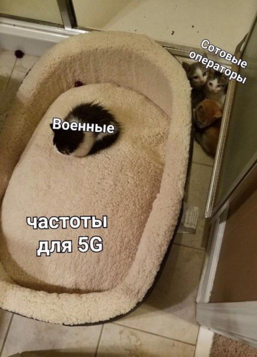 Новое поколение связи? Фиг вам! Путин отказался выдавать нужные операторам частоты для 5G    