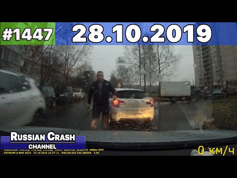 Подборка на видеорегистратор 1447