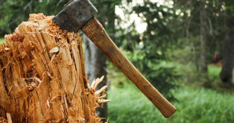 10 экстремальных ситуаций, в которых пришлось самостоятельно ампутировать конечность, чтобы выжить 10 экстремальных ситуаций, в которых пришлось самостоятельно ампутировать конечность, чтобы выжить