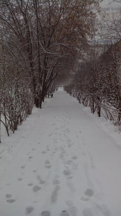 Красноярская ТЭЦ-3