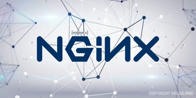  В офисе Nginx проходят обыски по иску Рамблера о краже интеллектуальной собственности