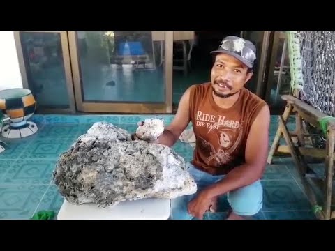 Мусорщик нашел амбру на пляже