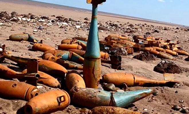 Находки на берегу, найденные после ураганов