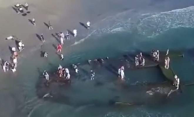 Находки на берегу, найденные после ураганов