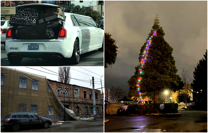 Примеры абсурдного креатива, которые заставят посмеяться от души