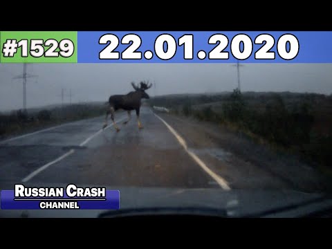 Подборка на видеорегистратор 1529