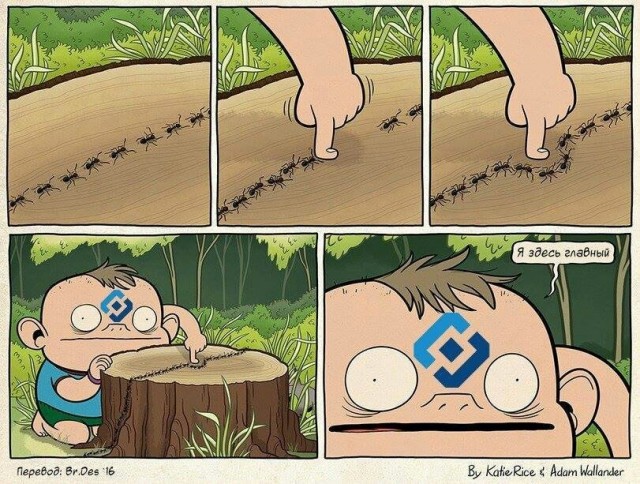 Роскомнадзор заказал исследование о блокировках в Tor и TON