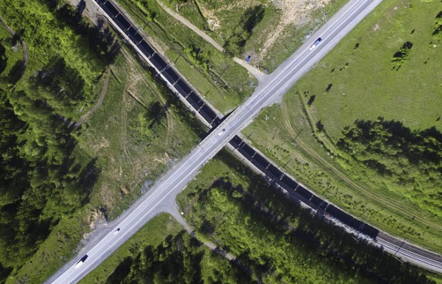 Госдума разрешила сплошную вырубку леса на Байкале ради БАМа