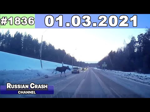 Подборка на видеорегистратор 1836