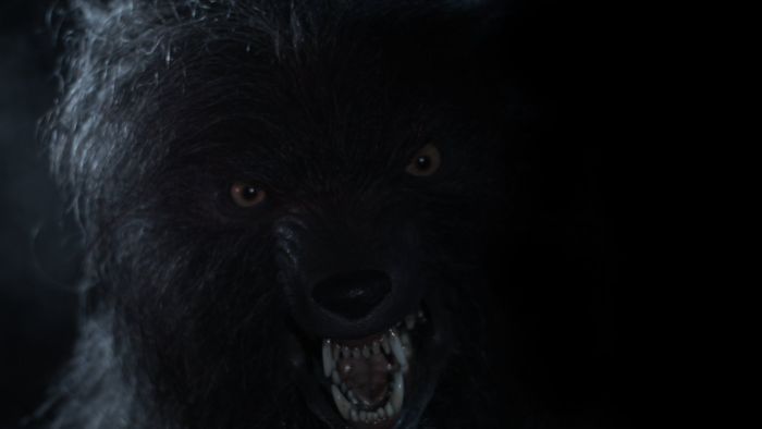 Четвероногий оборотень Арканзаса: тайна дома Беттиса