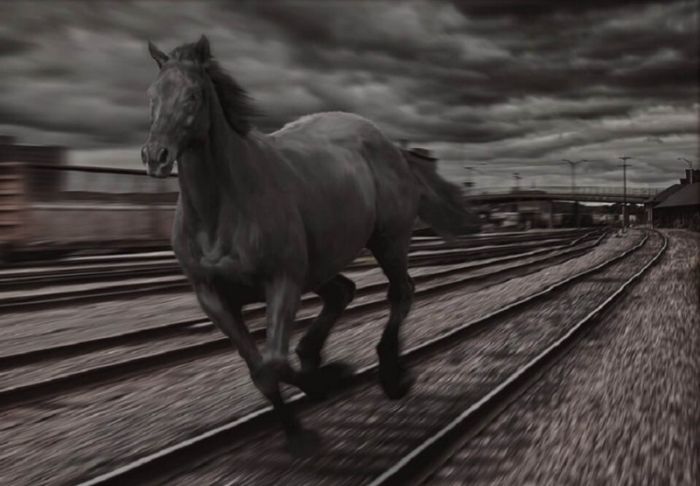 Самая невероятная железнодорожная катастрофа в истории СССР