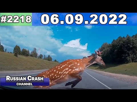 Подборка на видеорегистратор 2218