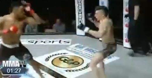 Понты ушли спать