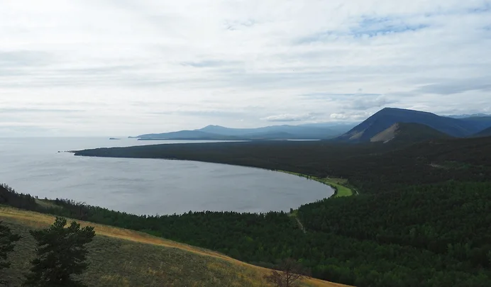Госдума приняла законопроект о сплошных рубках лесов озера Байкал