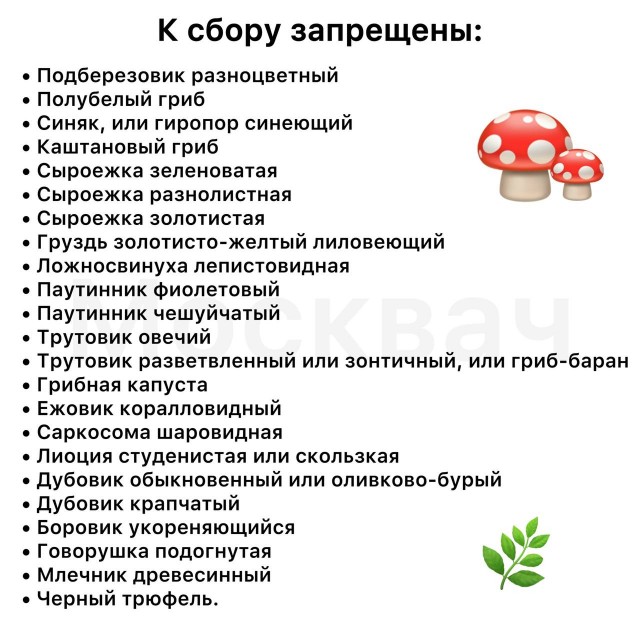 С 12 октября вступила в силу статья УК, которая устанавливает ответственность за незаконный сбор краснокнижных растений и грибов