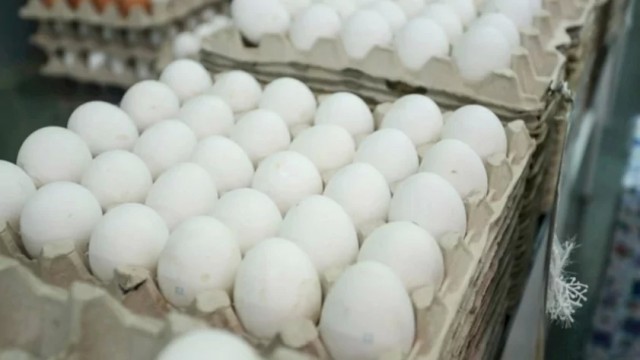 Цены на куриные яйца проанализирует ФАС