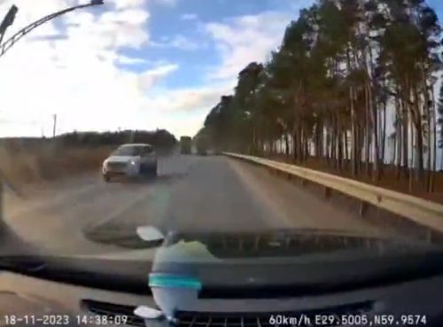 Очередной профи-олень