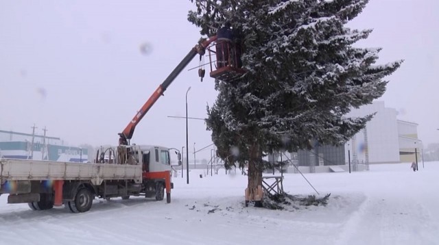 Администрация города в Красноярском крае вырубила елку местной жительницы и разместила ее на городской площади