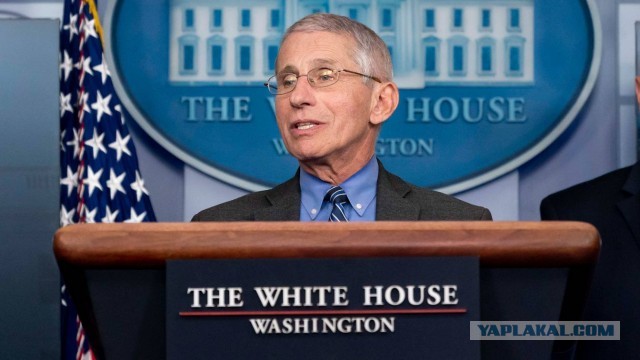 Фаучи отметил, что меры социального дистанцирования во время пандемии не имели под собой достаточных оснований