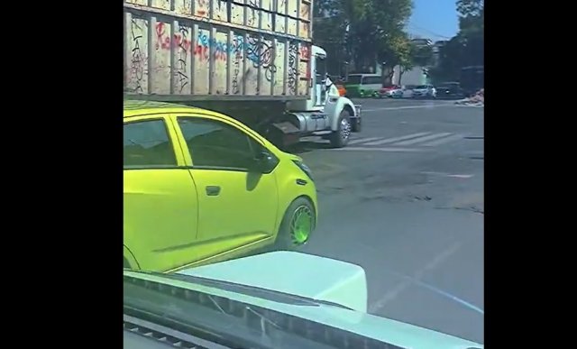 Что это за зверь такой