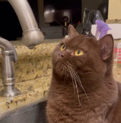 Когда сам поменял прокладку в кране⁠⁠