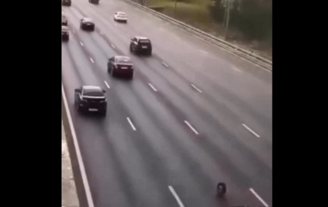 Почему нежелательно останавливаться на автомагистрали