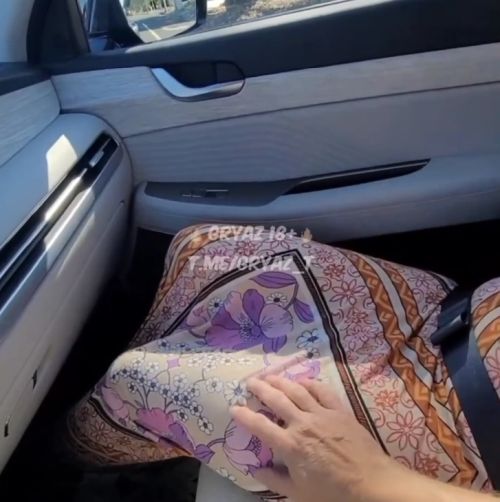 Приласкал бобрика