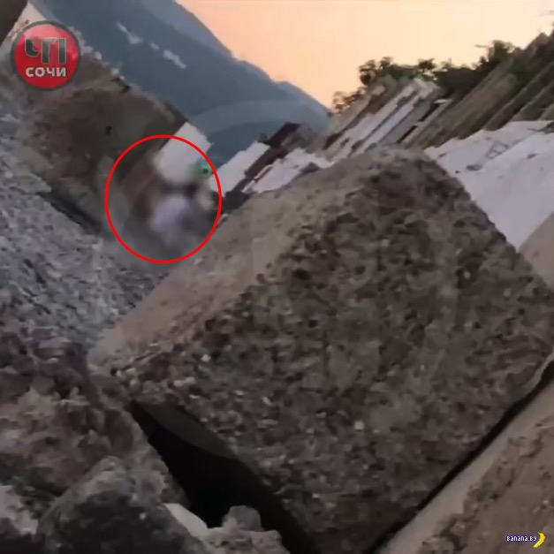 В городе Сочи не очень тёмные ночи!