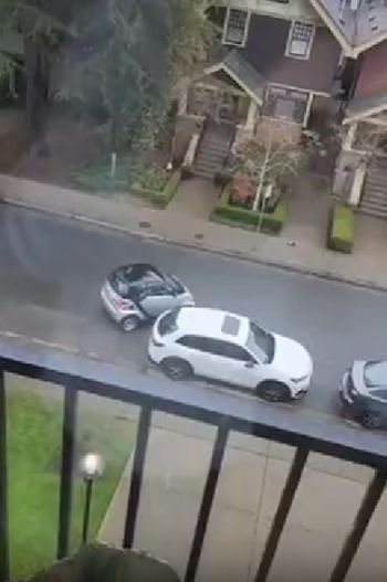 Пупочная парковка