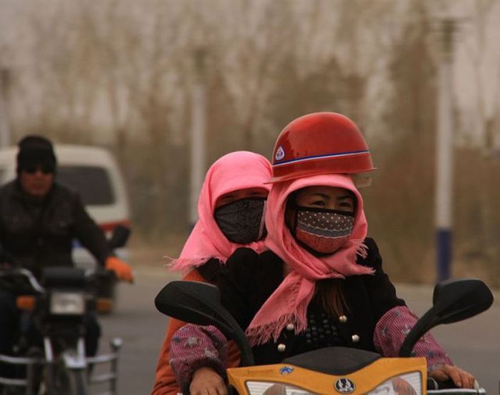 Техник безопасности прежде всего (54 фото)