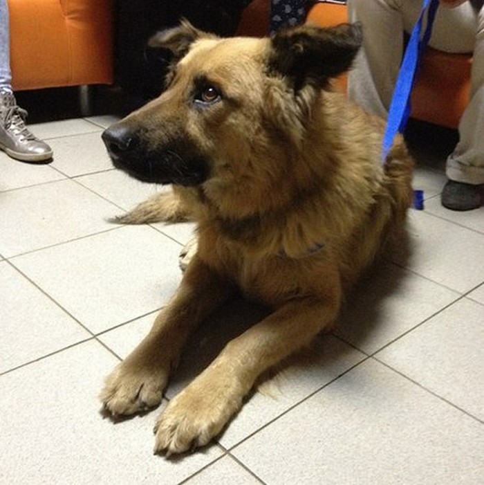 Есть еще добрые люди!