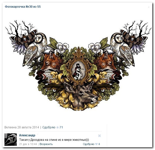 Смешные комментарии из социальных сетей