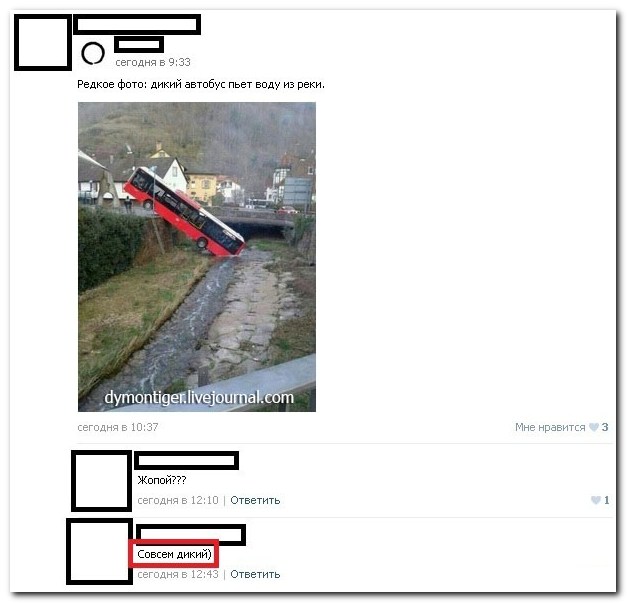Смешные комментарии из социальных сетей