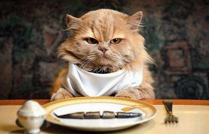 Любопытные факты о вкусовых ощущениях Любопытные факты о вкусовых ощущениях