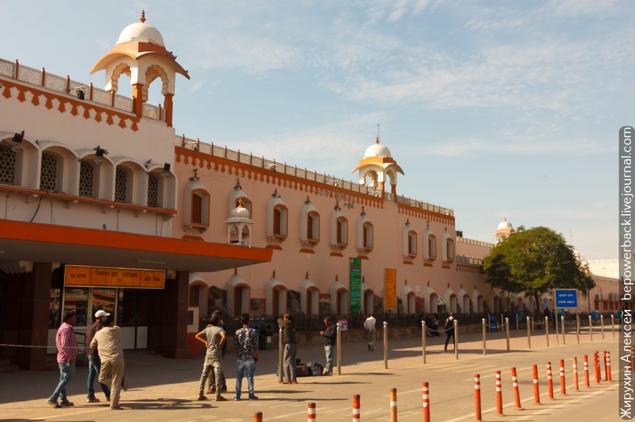 Как в Индии обманывают туристов