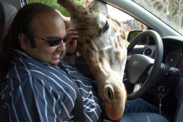 Прикольные картинки