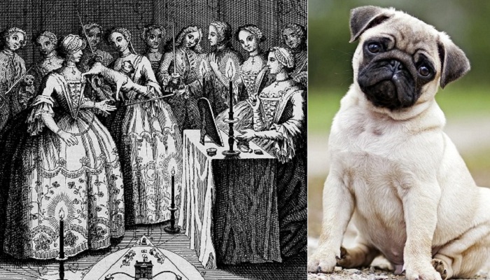 Орден Мопса: тайное общество XVII века, где все лаяли друг на друга