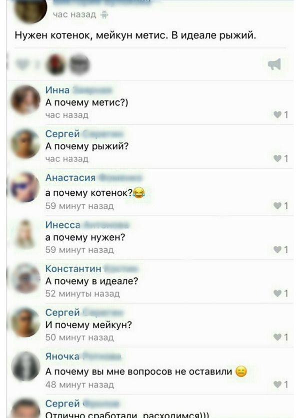 Юмор соцсетей