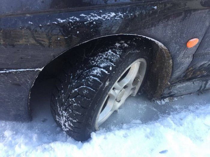 Любимая сказочная зима