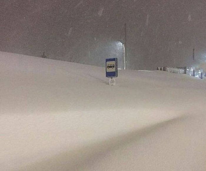 Любимая сказочная зима