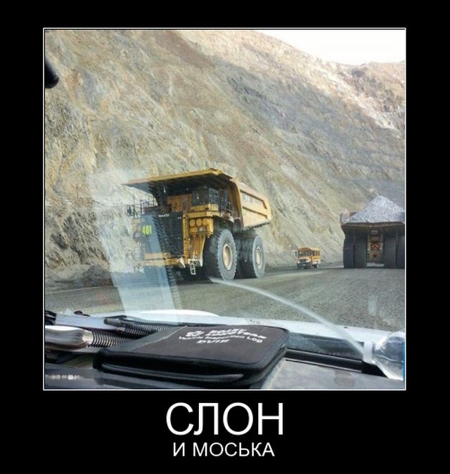 Демотиваторы