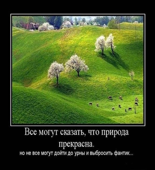 Демотиваторы