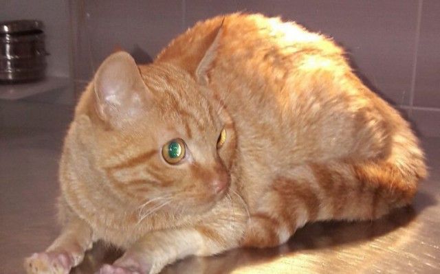 Милосердие как часть лечения