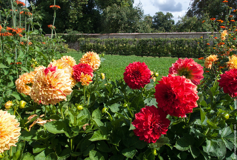 Лучший сад-огород в окрестностях Парижа Лучший сад-огород в окрестностях Парижа